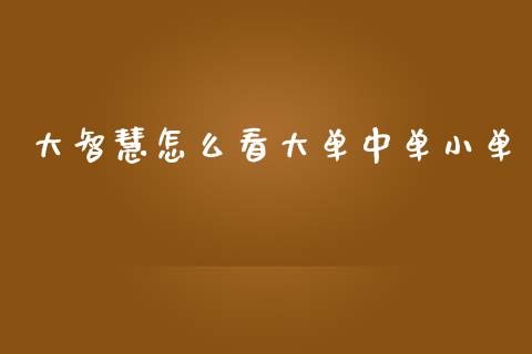 大智慧怎么看大单中单小单_https://www.qmgjg.com_香港恒生指数_第1张