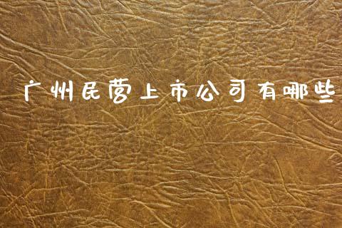 广州民营上市公司有哪些_https://www.qmgjg.com_港股恒生指数_第1张