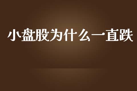 小盘股为什么一直跌_https://www.qmgjg.com_恒生指数期货_第1张