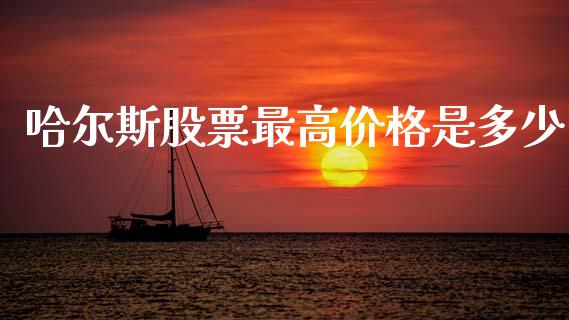 哈尔斯股票最高价格是多少_https://www.qmgjg.com_香港恒生指数_第1张