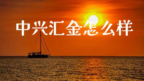 中兴汇金怎么样_https://www.qmgjg.com_香港恒生指数_第1张