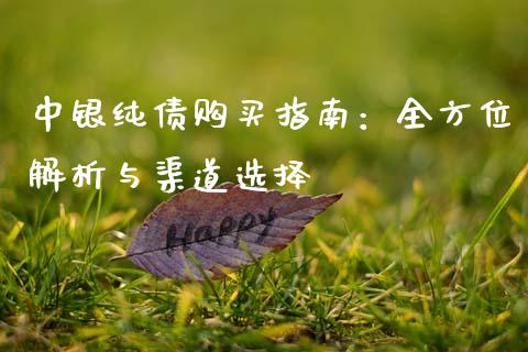 中银纯债购买指南：全方位解析与渠道选择_https://www.qmgjg.com_恒生指数是什么_第1张