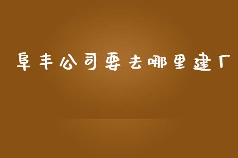 阜丰公司要去哪里建厂_https://www.qmgjg.com_香港恒生指数_第1张