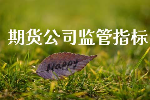 期货公司监管指标_https://www.qmgjg.com_恒生指数是什么_第1张