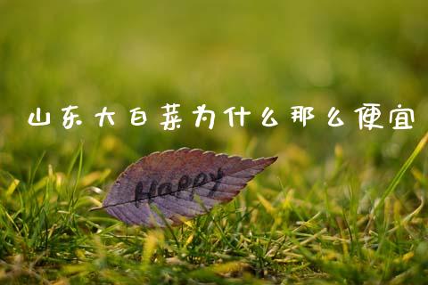 山东大白菜为什么那么便宜_https://www.qmgjg.com_恒生指数是什么_第1张