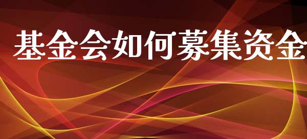 基金会如何募集资金_https://www.qmgjg.com_港股恒生指数_第1张