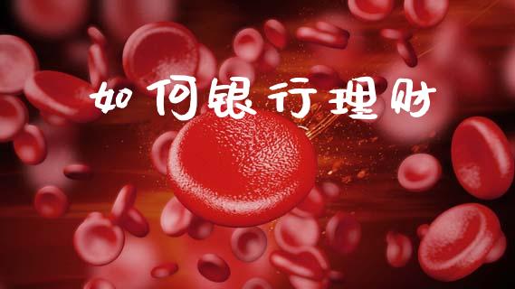 如何银行理财_https://www.qmgjg.com_恒生指数期货_第1张