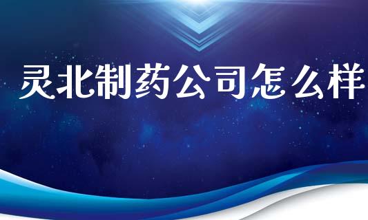 灵北制药公司怎么样_https://www.qmgjg.com_恒生指数期货_第1张