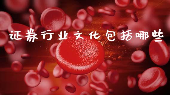证券行业文化包括哪些_https://www.qmgjg.com_港股恒生指数_第1张