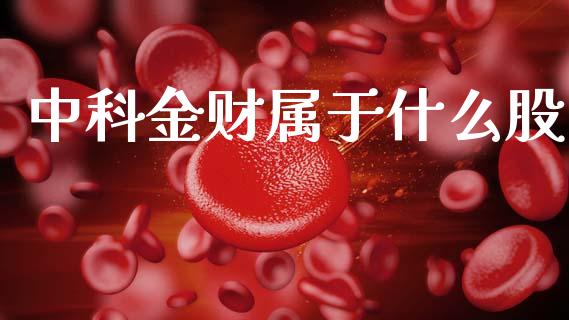 中科金财属于什么股_恒生指数期货_第1张_香港恒生指数_恒生指数期货_港股恒生指数_恒生指数是什么 中科金财属于什么股_https://www.qmgjg.com_恒生指数期货_第1张