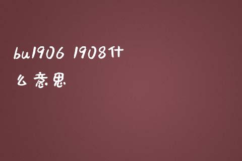 bu1906 1908什么意思_https://www.qmgjg.com_香港恒生指数_第1张