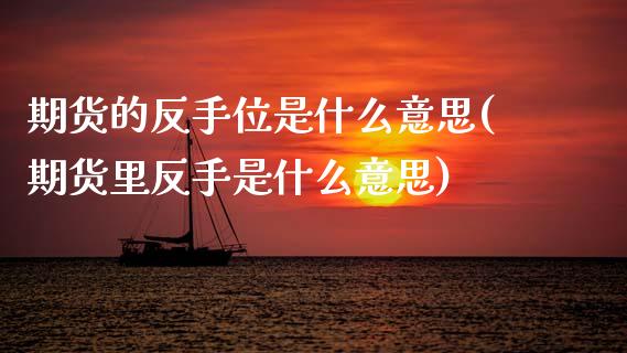 期货的反手位是什么意思(期货里反手是什么意思)_https://www.qmgjg.com_恒生指数期货_第1张