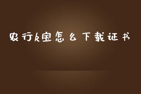 农行k宝怎么下载证书_https://www.qmgjg.com_香港恒生指数_第1张