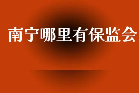 南宁哪里有保监会_https://www.qmgjg.com_恒生指数期货_第1张