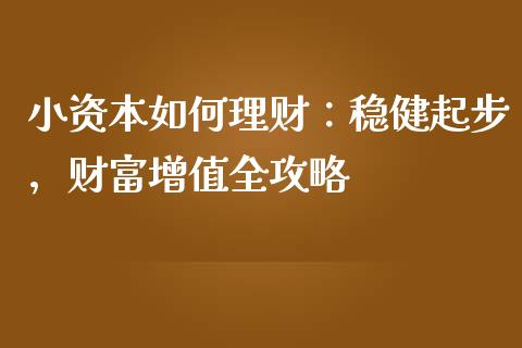 小资本如何理财：稳健起步，财富增值全攻略_https://www.qmgjg.com_香港恒生指数_第1张