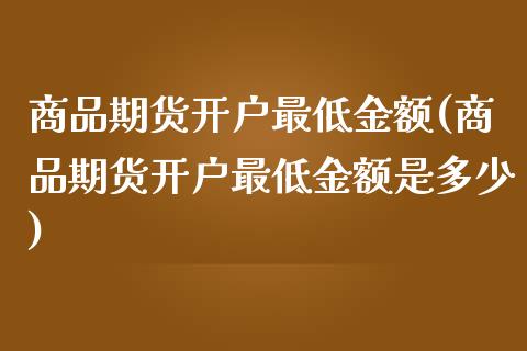 商品期货开户最低金额(商品期货开户最低金额是多少)_https://www.qmgjg.com_恒生指数是什么_第1张