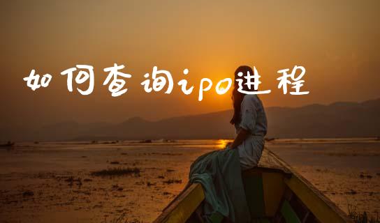 如何查询ipo进程_https://www.qmgjg.com_恒生指数期货_第1张