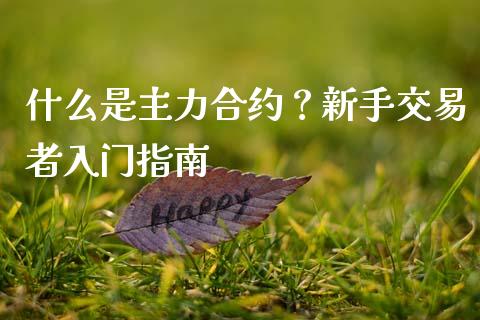 什么是主力合约？新手交易者入门指南_https://www.qmgjg.com_恒生指数是什么_第1张