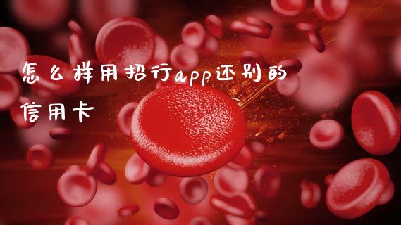 怎么样用招行app还别的信用卡_https://www.qmgjg.com_港股恒生指数_第1张