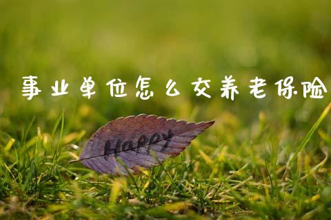 事业单位怎么交养老保险_https://www.qmgjg.com_恒生指数是什么_第1张