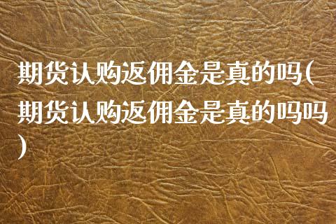 期货认购返佣金是真的吗(期货认购返佣金是真的吗吗)_https://www.qmgjg.com_恒生指数是什么_第1张