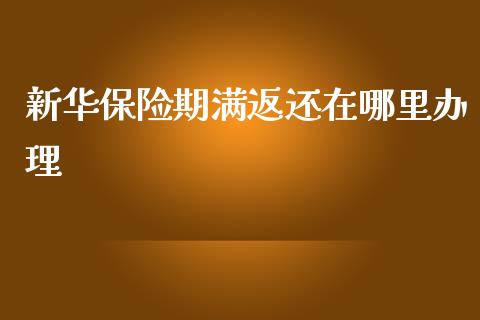 新华保险期满返还在哪里办理_https://www.qmgjg.com_香港恒生指数_第1张
