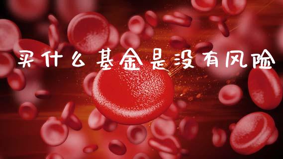 买什么基金是没有风险_https://www.qmgjg.com_港股恒生指数_第1张