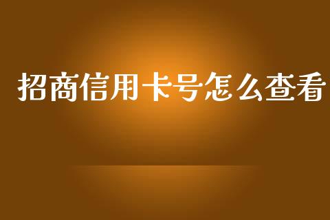 招商信用卡号怎么查看_https://www.qmgjg.com_港股恒生指数_第1张