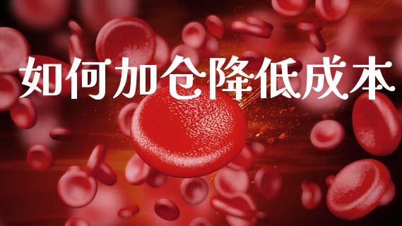 如何加仓降低成本_https://www.qmgjg.com_香港恒生指数_第1张