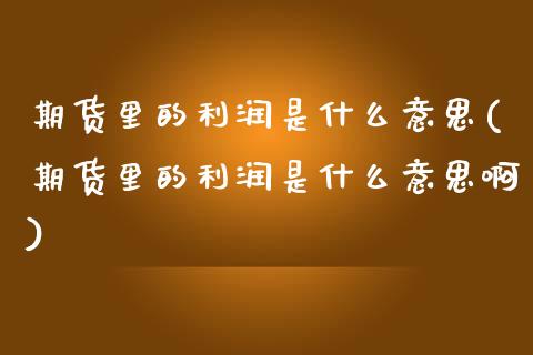 期货里的利润是什么意思(期货里的利润是什么意思啊)_https://www.qmgjg.com_恒生指数是什么_第1张