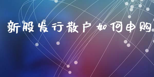 新股发行散户如何申购_https://www.qmgjg.com_港股恒生指数_第1张