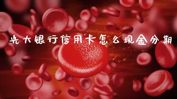 光大银行信用卡怎么现金分期_https://www.qmgjg.com_恒生指数期货_第1张