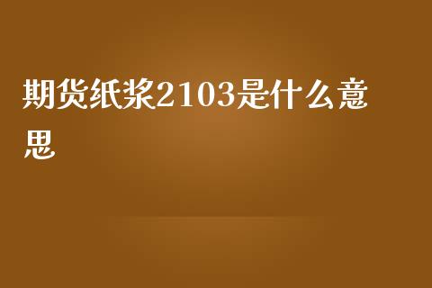 期货纸浆2103是什么意思_https://www.qmgjg.com_港股恒生指数_第1张