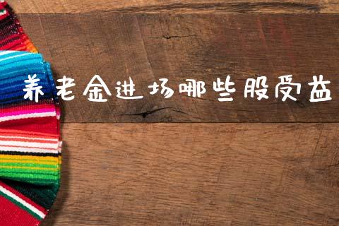 养老金进场哪些股受益_https://www.qmgjg.com_港股恒生指数_第1张