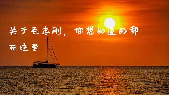 关于毛志刚，你想知道的都在这里_https://www.qmgjg.com_恒生指数期货_第1张