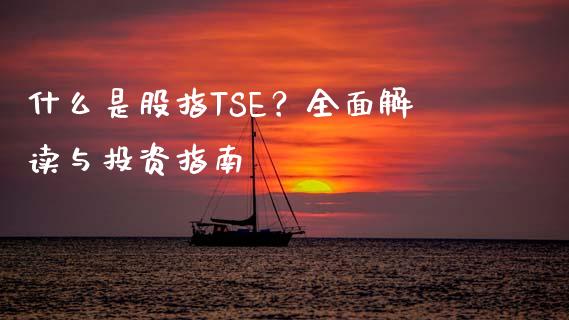 什么是股指TSE？全面解读与投资指南_https://www.qmgjg.com_香港恒生指数_第1张