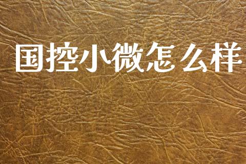 国控小微怎么样_https://www.qmgjg.com_港股恒生指数_第1张