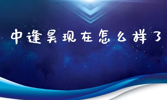 中逢昊现在怎么样了_https://www.qmgjg.com_恒生指数期货_第1张