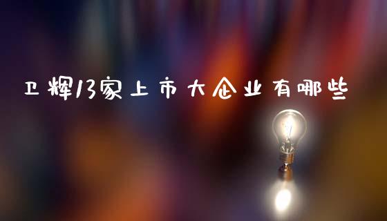 卫辉13家上市大企业有哪些_https://www.qmgjg.com_香港恒生指数_第1张