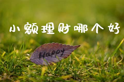 小额理财哪个好_https://www.qmgjg.com_香港恒生指数_第1张