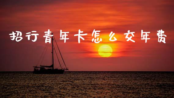 招行青年卡怎么交年费_https://www.qmgjg.com_港股恒生指数_第1张