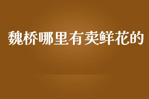 魏桥哪里有卖鲜花的_https://www.qmgjg.com_香港恒生指数_第1张
