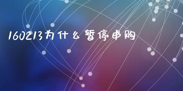 160213为什么暂停申购_https://www.qmgjg.com_恒生指数期货_第1张