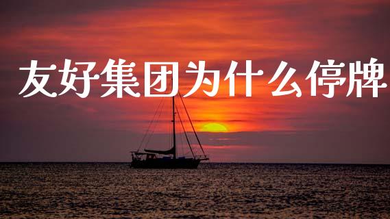 友好集团为什么停牌_https://www.qmgjg.com_香港恒生指数_第1张