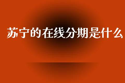 苏宁的在线分期是什么_https://www.qmgjg.com_港股恒生指数_第1张