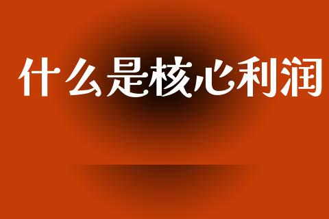 什么是核心利润_https://www.qmgjg.com_恒生指数期货_第1张