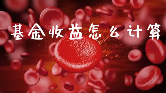基金收益怎么计算_https://www.qmgjg.com_恒生指数是什么_第1张