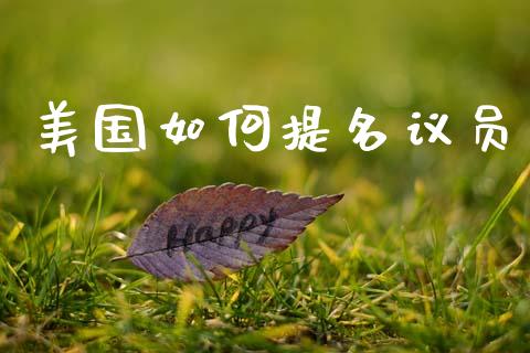 美国如何提名议员_https://www.qmgjg.com_港股恒生指数_第1张