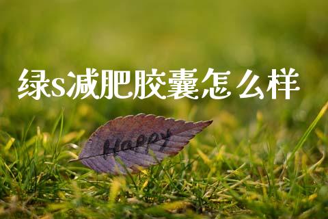 绿s减肥胶囊怎么样_https://www.qmgjg.com_恒生指数是什么_第1张