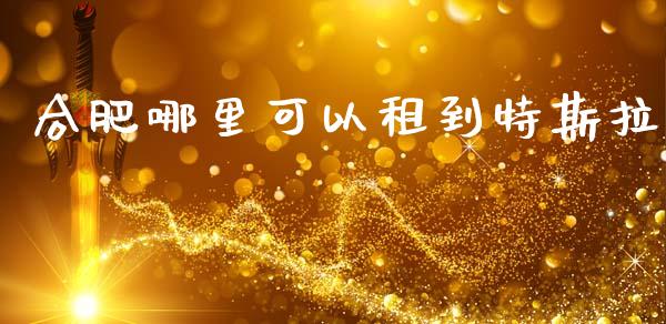 合肥哪里可以租到特斯拉_https://www.qmgjg.com_香港恒生指数_第1张